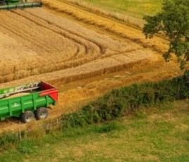 un champs, un tracteur des vaches