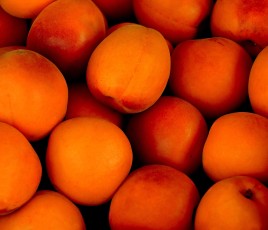 piro4d-apricots-1556851_1920