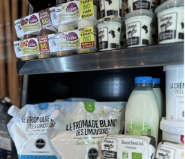rayonnages de produits laitiers : yaourts, beurre, lait. 