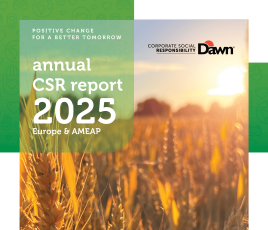 V1 Dawn Foods RSE 2025 CR DR