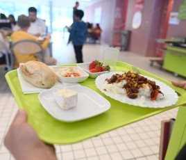 Plateau repas restauration scolaire
