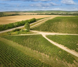 Simonnet-Febvre parcelles