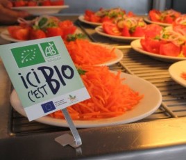 assiette de carottes râpées bio