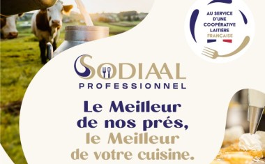 Gamme fromage - Sodiaal Professionnel