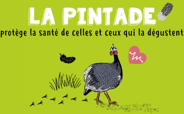 Pintade protège la santé