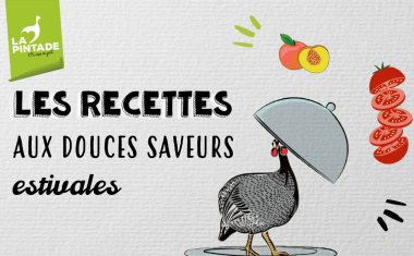 Recette estivales pintade