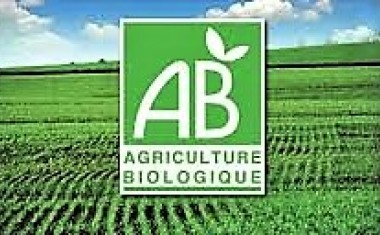 Agriculture bio logo bio