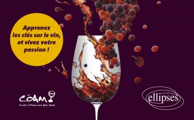 Livre le vin pas à pas
