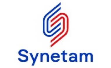 logo synetam