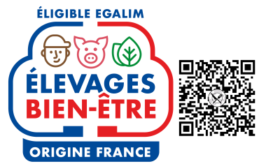 LOGO EBE