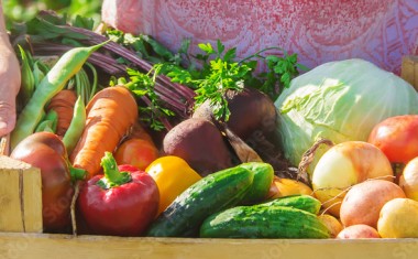 UN HOMME TIENT UNE CAGETTE DE FRUITS ET LEGUMES FRAIS