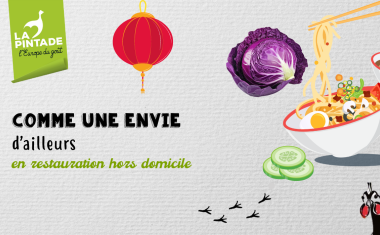 rouleaux de printemps CIP