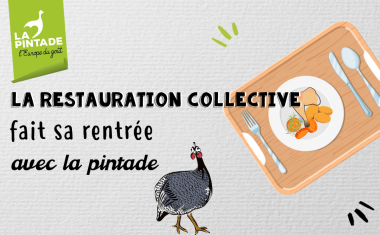 La pintade en collective