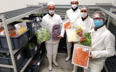 Equipe de préparateurs dans légumerie rsl