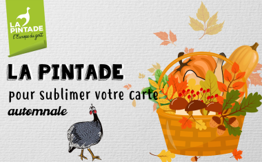 Pintade automne