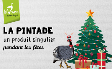 La pintade pendant les fêtes