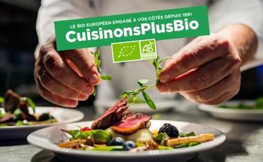 cuisiniers mains produits bio assiette