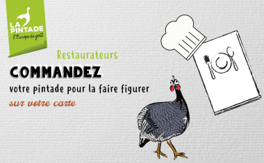 Commande pintade