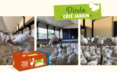Poule et toque