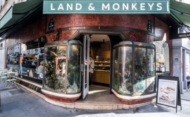 Land & Monkeys