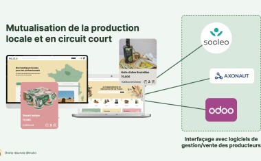 SOLUTION MULLO 1
