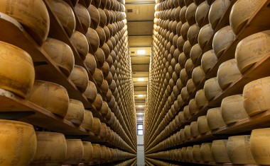 granarolo entrepot parmigiano castelfranco