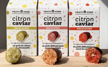 3 CITRON CAVIAR FRUITS AT HOME