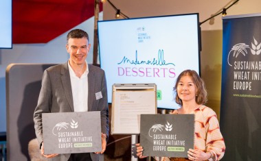 Mademoiselle DESSERTS signature du Manifesto