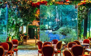 Wonderwoods