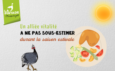pintade alliée vitalité