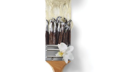 TROPHEE DE LA GLACE 2025 BD.jpg
