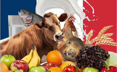Forum de France de l'alimentation