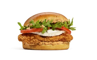 V1 Burger King Master Regionaux