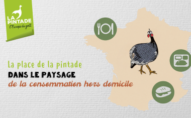 Place pintade en CHD