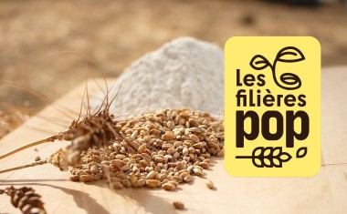Les Filières POP