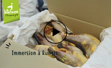 Immersion à Rungis pintade