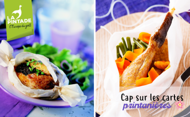 pintade de printemps 