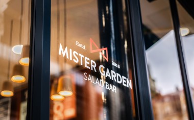 V1 Mister Garden Louvre 