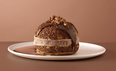 Chou glacé Carte d'Or Professionnel