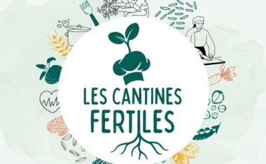 affiche les cantines fertiles