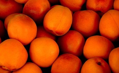 piro4d-apricots-1556851_1920