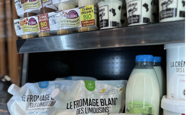 rayonnages de produits laitiers : yaourts, beurre, lait. 