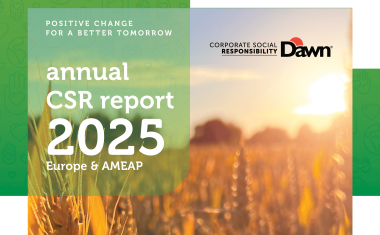 V1 Dawn Foods RSE 2025 CR DR
