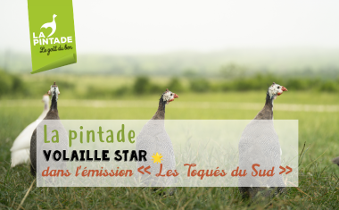 volaille star 