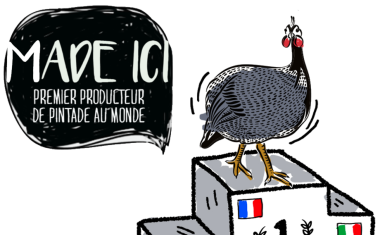 La pintade