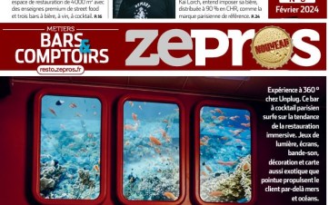 Zepros Bars et Comptoirs 6