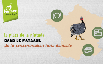 Place pintade en CHD