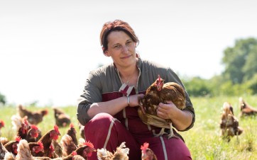 une fermière avec ses poules dans un champs
