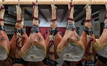 V1 San Daniele CR OD