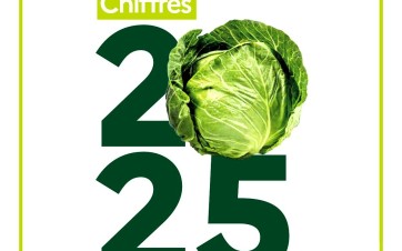 agence bio chiffres 2025